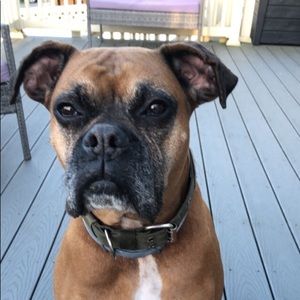 Meet your Posher, Anna